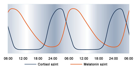 Melatonin szint és a cirkádián ritmus